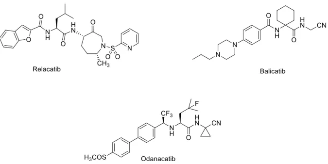 FIGURA 1.7  –  Estruturas químicas dos inibidores de catepsina K que passaram por  estudos pré-clínicos