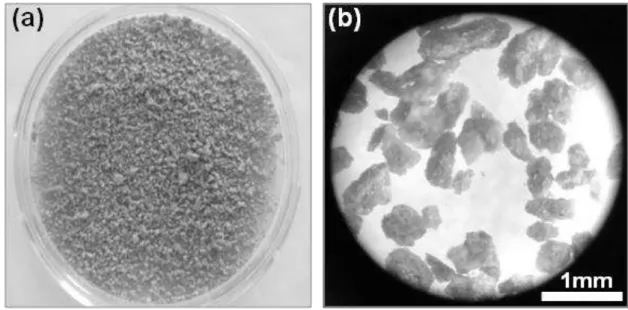 FIGURA  3.4  –  Imagem  dos  nanocompósitos  moídos:  (a)  tamanho  real  e  (b)  imagem no microscópio