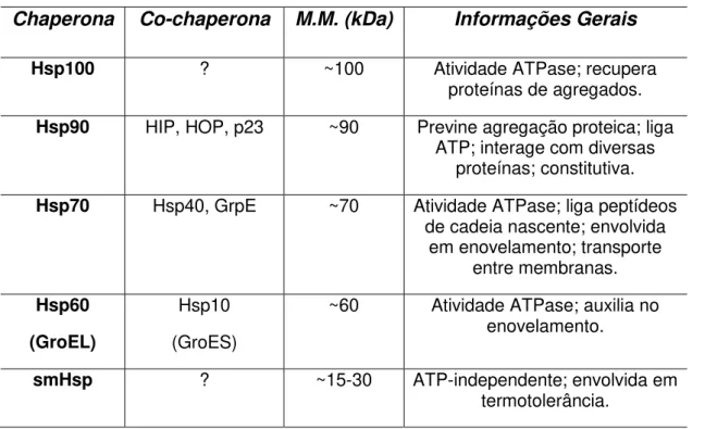 Tabela 1: Principais Famílias de Chaperonas Moleculares