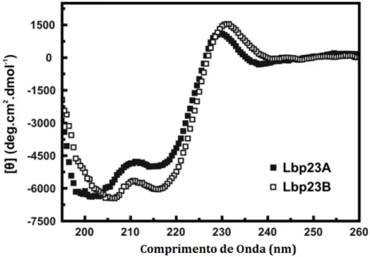 Figura 11 - Dicroísmo Circular da Lbp23A e Lbp23B