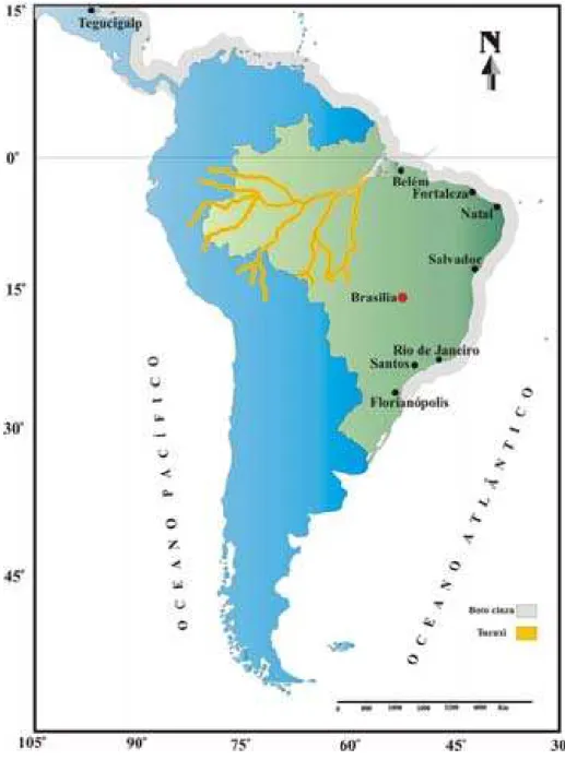 Figura 01. Mapa de distribuição geográfica do gênero Sotalia: Sotalia guianensis (marinho) e Sotalia fluviatilis (fluvial)