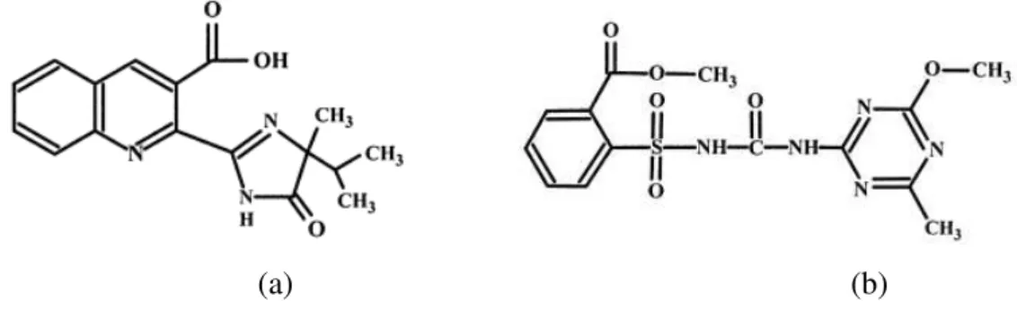 FIGURA 13 - (a) Estrutura molecular Imazaquin. (b) Estrutura molecular Metsulfuron-metil