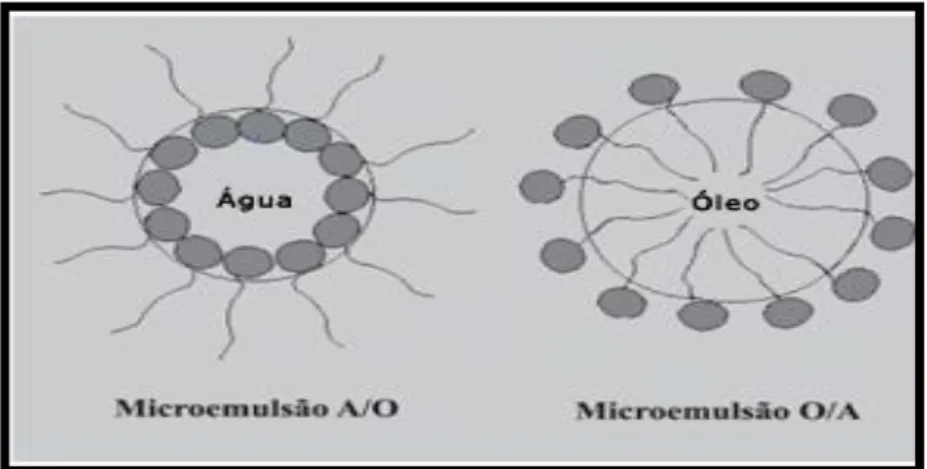 Figura 3: Representação esquemática de microemulsões A/O e O/A (adaptado de Scielo)  