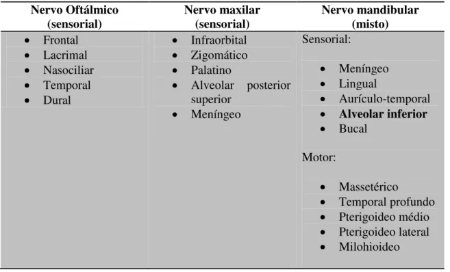 Tabela nº 1  –  Ramos resultantes da divisão do nervo trigémio. Adaptado de Bathla &amp; Hegde, 2013