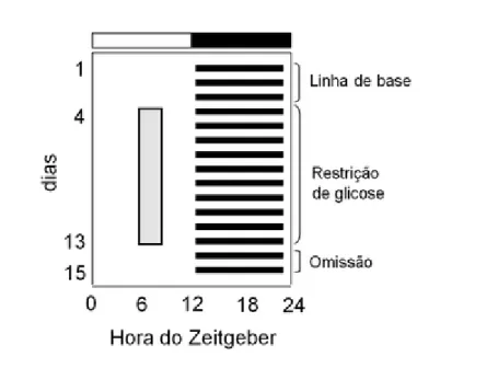 Figura 2. Imagem  das  ampolas  de  glicose. ’  esquerda, ampolas  fechadas. Cada  uma  continha 10  ml, As medi•‡es da ingest€o eram feitas comparando-se  duas ampolas, sendo uma com marca•‡es  de 0,5 ml (direita).