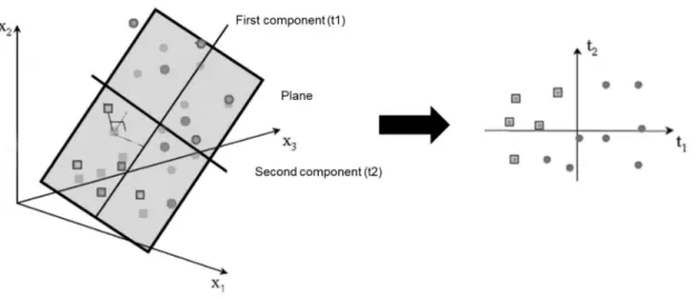 Figure 4. PCA model results in the projection of the data on a low dimension model plane  (adapted from  53 )