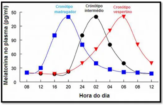 Figura  4.  Variação  da  melatonina  ao  longo  das  horas  do  dia  segundo  os  diferentes  cronótipos (IIMEL, 2015)