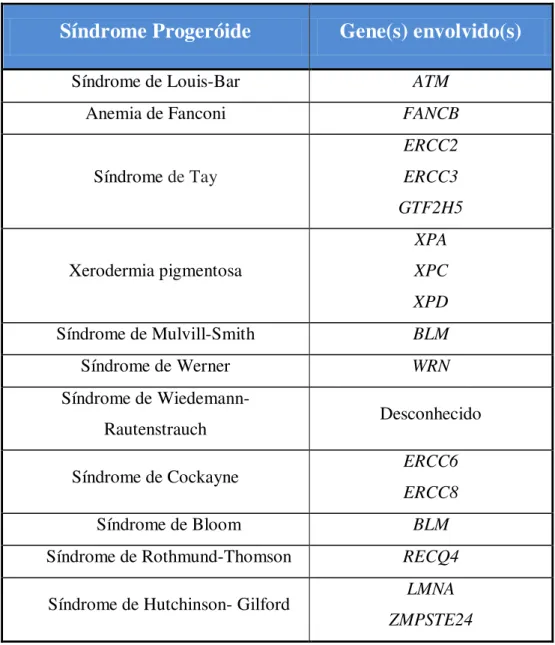 Tabela 1 – Síndromes progeróides e gene(s) envolvido(s) 