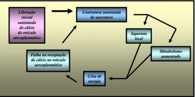 Figura 2 - Teoria energética, adaptado de Vidor (2010), segundo Simons et al. (1999).