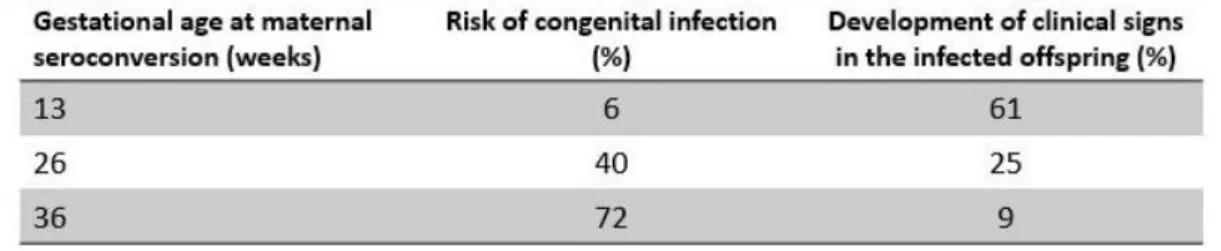 Table  1  –  Risk  of  T.  gondii  congenital  infection  in  different  gestational  age  and  development  of  clinical  signs  in  the  infected offspring