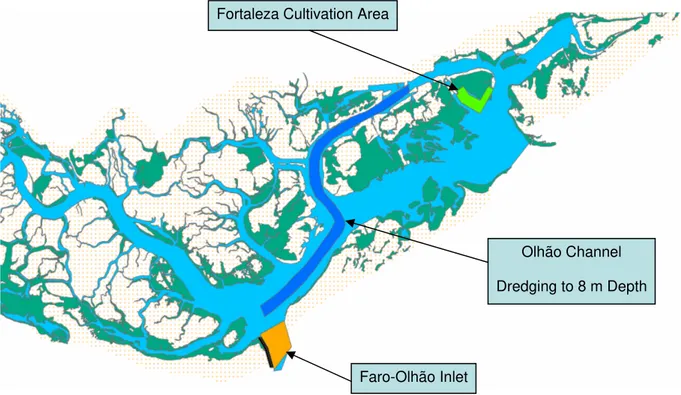 Fig. 2-7 – Olhão channel, Faro-Olhão inlet and Fortaleza cultivation area scenarios. 