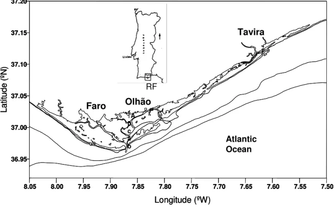 Figure 1-1- Geographic location of Ria Formosa. 