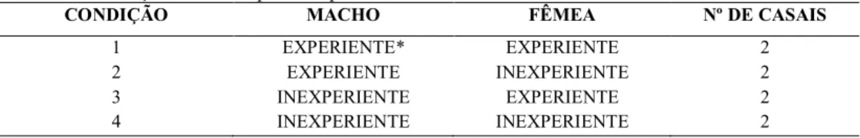 Tabela 1: Formação dos casais para o experimento. 