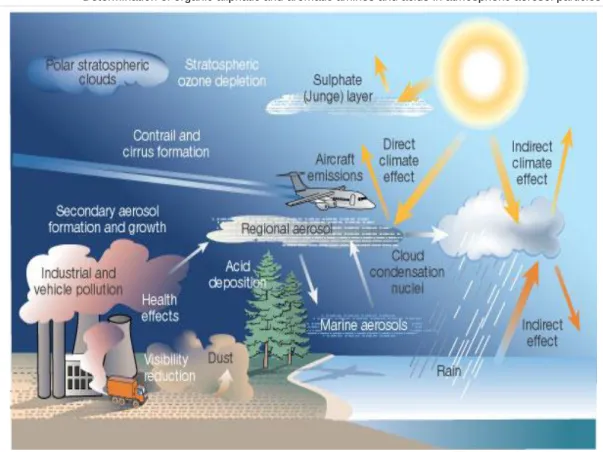 Figure 2 – Sources and effects of aerosol atmospheric particles  [53] . 