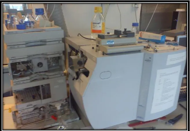 Figure 10 – Hewlett Packard Series 1100 HPLC and Bruker Esquire 3000plus mass spectrometer