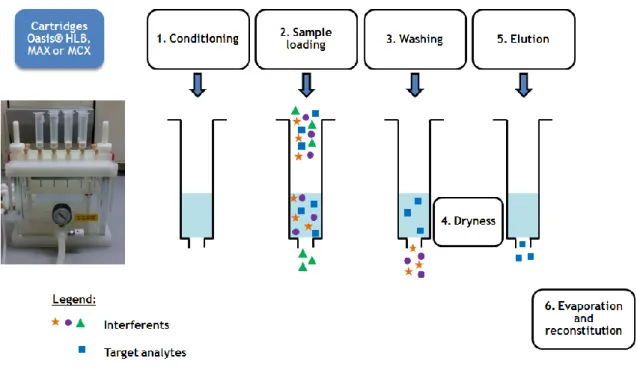 Figure 7 – Schematic representation of SPE procedure. 
