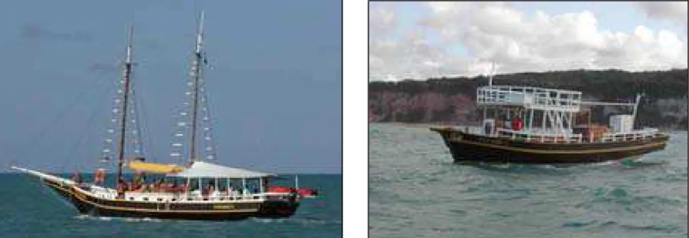 Figura 5 – Barcos de turismo utilizados para obtenção dos dados utilizados neste estudo (Foto: S