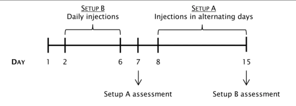 Figure 8. Representative scheme describing the LiCl treatment strategy.  Setup A consists in an every  second day treatment from P7 to P15
