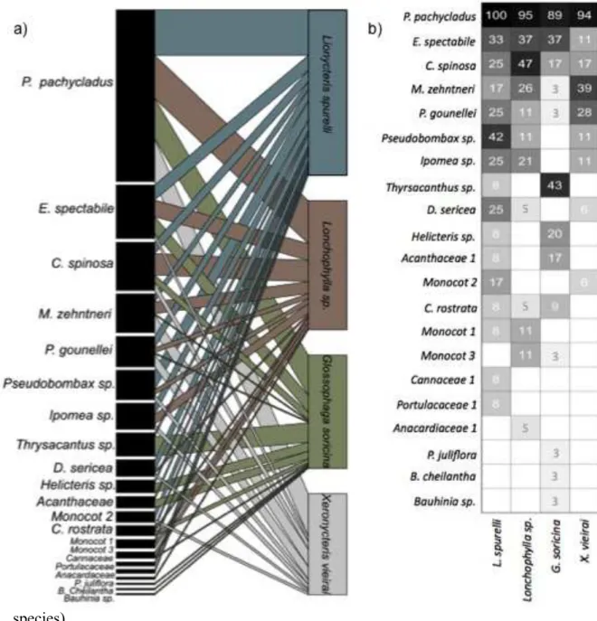 Fig 7. a) Interaction network of nectar-feeding bats and plants in the Caatinga of  Lajes