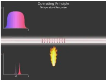 Figure 13- Schematic of spectral displacement of a heated Bragg grating [19]. 
