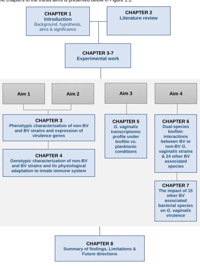Figure 1.1. Thesis outline 