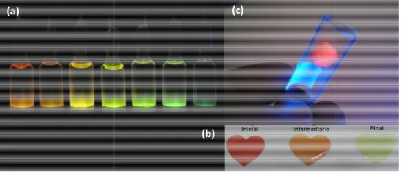 Figura 1.2: (a) Soluções contendo M detectores de radiação à base de ME fibra luminescente à base de PVC e M