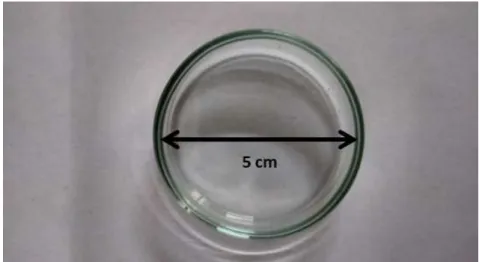 Figura 3.8: Placa de Petri utilizada para deposição da solução de PVC:DINCH. 