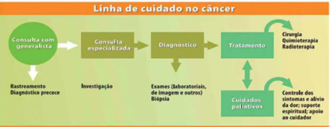 Figura 6- Linha de cuidado no câncer. 