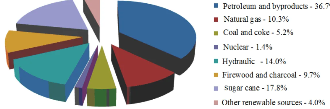 Figure 1. Primary energy production in Brazil in 2010 [5].  