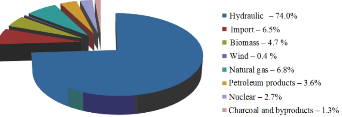 Figure 2. Domestic supply of electricity in Brazil in 2010 [5]. 