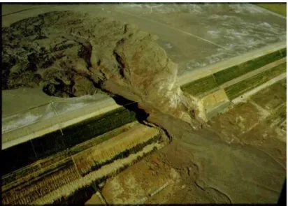 Figura 2.3 - Ruptura por liquefação em barragem de rejeitos de ouro ocasionando a morte de 17 pessoas,  Merriespruit, África do Sul, 1994 (BEDIN, 2010) 