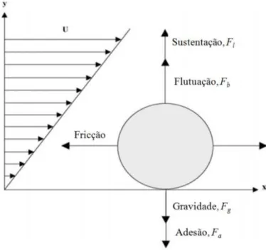 Figura 3.4.2 - Forças atuantes em uma partícula em repouso sobre uma placa plana  (23) 