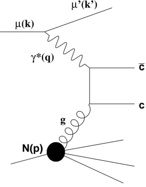 Figure 1: Photon-Gluon Fusion into a pair of charm quarks, c c. Symbols in parentheses denote four- ¯ vectors.