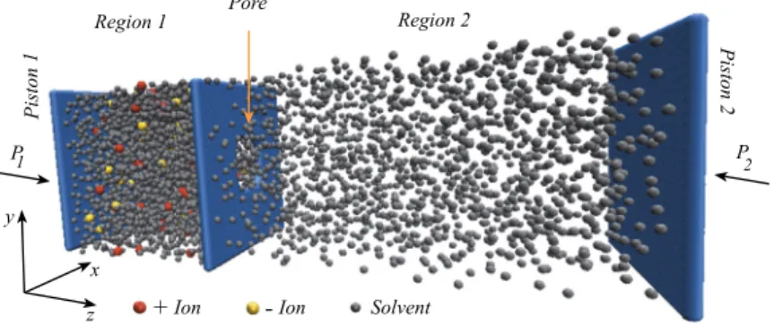 Fig. 1. System model we used for separating solute from solvent through nanopores. The mixture of solvent and ions, initially localised in the Region 1, is pushed by a piston against a middle membrane