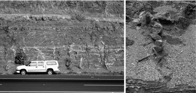 Fig. 4. (L) Swarm of injected, clastic dykes emplaced in upper layers of Corumbataí Formation near Limeira, São Paulo, approximately 800 km from the impact crater