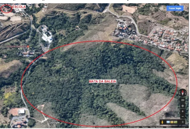 Figura 3  –  Imagem de Satélite  –  Mata da Baleia nas proximidades da escola  