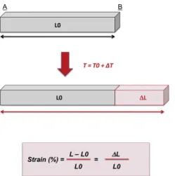 Figure 1 - Calculation of deformation (strain) and rate of deformation (strain rate). The initial myocardial  length (at T0) is L0 (gray bar)