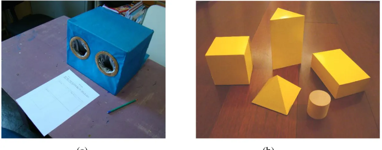 Figura 29. Caixa e corpos geométricos 3D utilizados na atividade de percepção tátil 