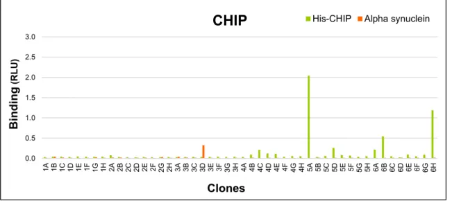 Figure 12. Screening of CHIP library selected clones in soluble scFv binding assay. 