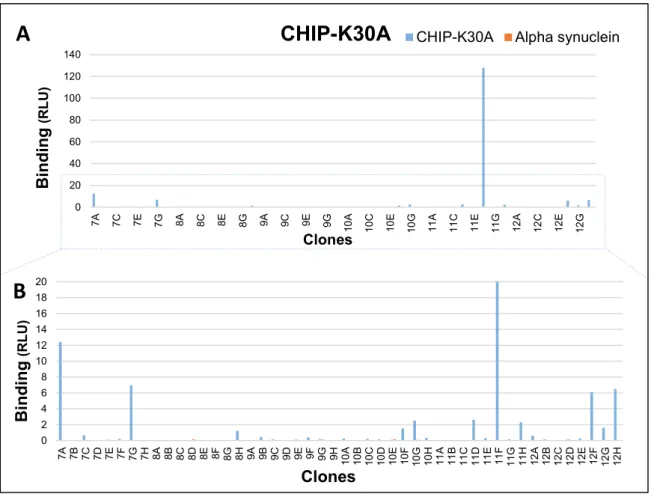 Figure 13. Screening of CHIP-K30A library selected clones in soluble binding assay. 