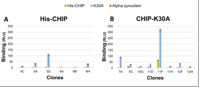 Figure 14. Validation of the scFv clones with highest affinity. 
