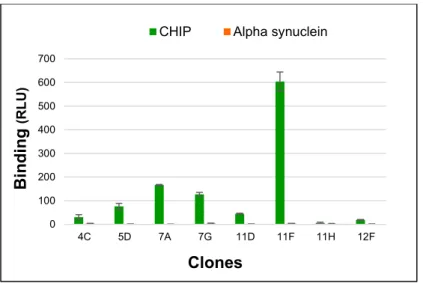 Figure 16. Reactivity of selected scFv clones against untagged CHIP. 