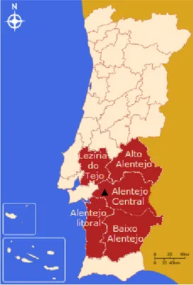 Figura 1  Mapa de Portugal dividido por regiões NUTS III. A vermelho encontram-se assinaladas as  5 regiões NUTS III do Alentejo