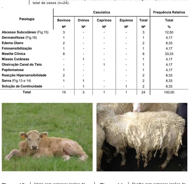 Tabela 9   Número  de  casos  clínicos  diagnosticados  ao  nível  da  pele  e  glândulas  anexas,  em  bovinos,  ovinos,  caprinos  e  equinos,  durante  o  período  de  estágio