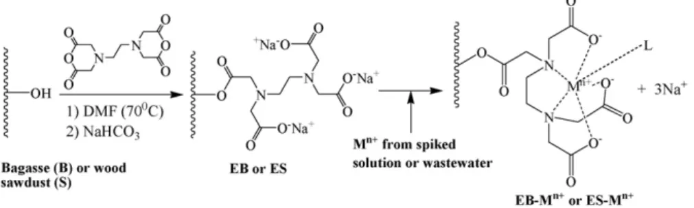 Fig. 1. Synthesis scheme of the modified materials EB and ES and adsorption mechanism of a metal ion onto EB or ES (M n+ : metal ion; L: a ligand).