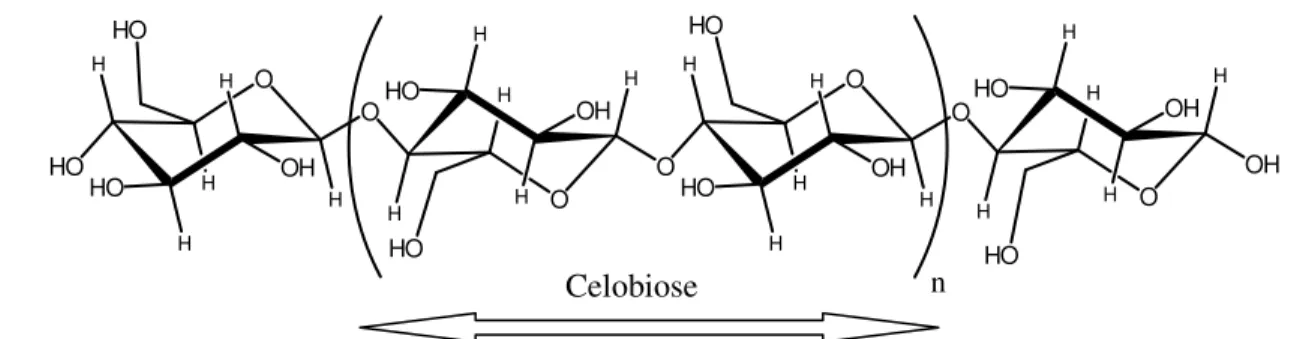 Figura 2.6 - Estrutura química da celulose. Em destaque a unidade repetitiva (celobiose) 