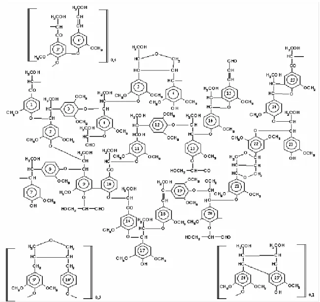 Figura 2.9 - Estrutura da lignina proposta por Nimz (1974)  2.4.2.  Bagaço da Cana-de-Açúcar 