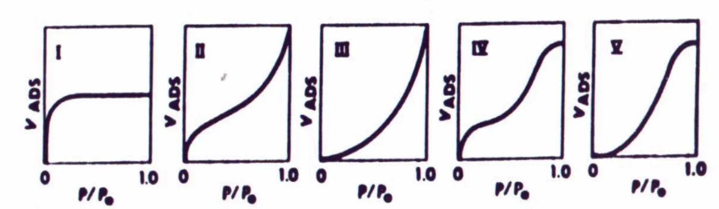 Figura 5 – Principais tipos de isotermas tipo BET (Rouquerol et al., 1999). P/P 0  é a  pressão relativa do gás e V ADS  é o volume de gás adsorvido no sólido