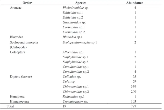 Table 2. Richness and abundance of the invertebrates sampled in Vriesea sp.
