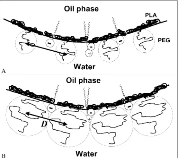 Fig. 8. A schematic and hypothetical representation of NC surface showing the PEG hydrated cloud shield over charged groups located underneath it and PLA blocks at the oil } water interface at the same surface distance (D)
